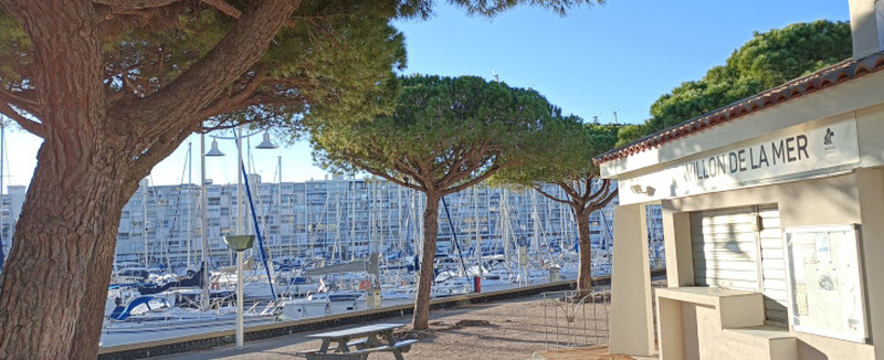 Illustration de l'actualité